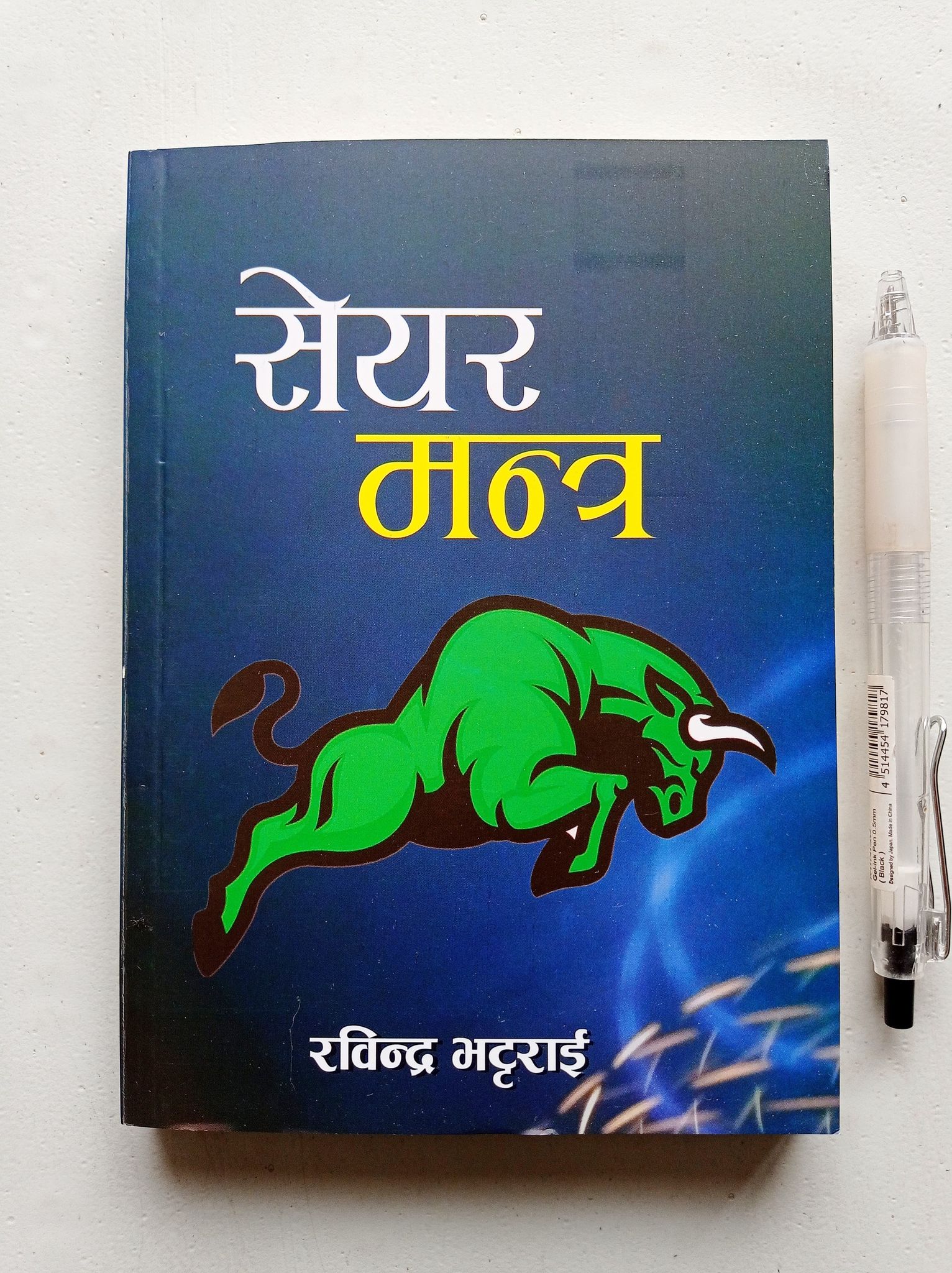 Share Mantra - Rabindra Bhattarai ( Retail)