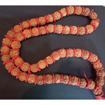 Rudrakshya Mala (54 Beads)