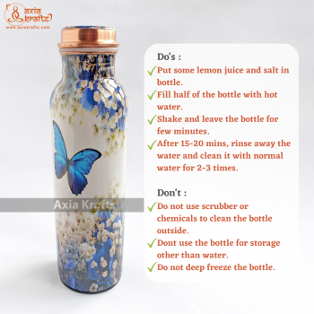 Butterfly Designed Copper Water Bottle