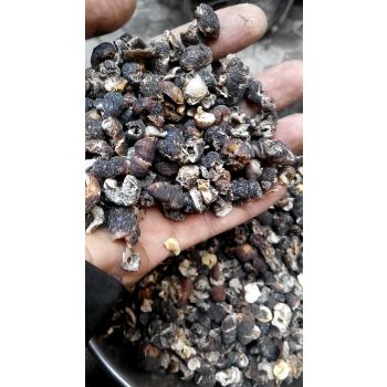 Ayurvedic Herbal Medicinal Phyllanthus Emblica Indian Gooseberry Amala