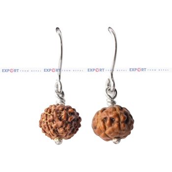 5 Mukhi Rudraksh Single Bead Sterling Silver Earring