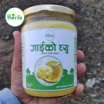 HARILO Cow Ghee Local & Pure 500 ML