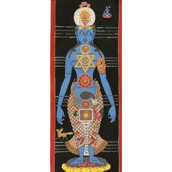 Hand-Painted 7 Chakra Healing Medical Thangka Art on Canvas, 13 x 35 Inches