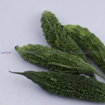 High Quality Export Level Fresh Organic Bitter Gourd
