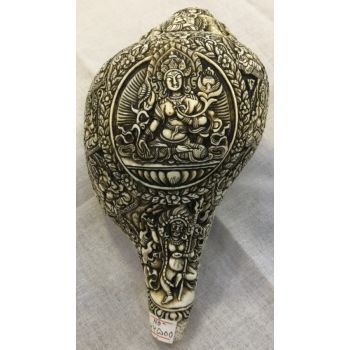 21 Tara Carved Conch shell