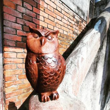 Handmade Owl Pot (money saving)