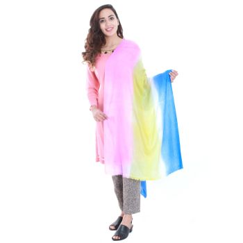 Triple Tonned Pashmina Shawl