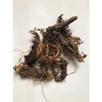 100% Natural and Pure Herbal Jatamansi Oil (Essential Oil)