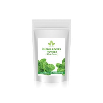Dried Mint Powder 200gm
