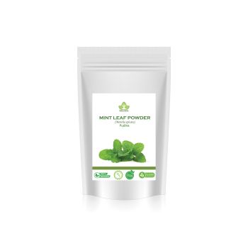Dried Mint Pudina Powder 1kg
