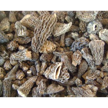 100% Natural Morel mushroom