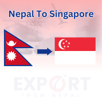 Kathmandu to Singapore 100-499