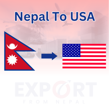 Kathmandu to United States 100-499 kgs