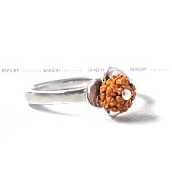 5 Mukhi Rudraksh Single Bead Rose Patel Design Ring