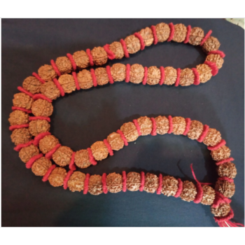 Rudrakshya Mala (54 Beads)