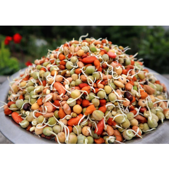 Mix Grain - Kwati (क्वाँती, क्वाँटी)