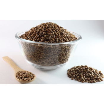 Horse Gram - Gahat Seeds