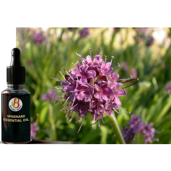 100% Natural & Pure Medicinal Spikenard Essential Oil