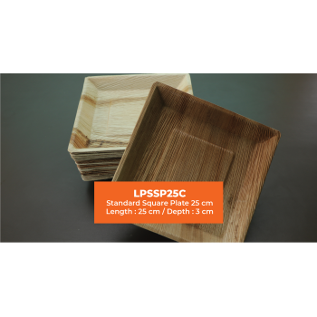 Standard Square Plate | 25 cm Length and Breadth | Areca Nut Palm Leaves | Light weighted | Durable | Bio-degradable | Disposable Plate | Fungus Proof | Portable