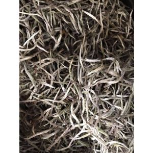 Fresh Natural Tea 'Silver Needle'