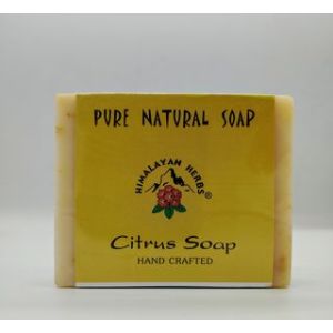 Citrus Soap