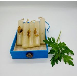 Artemisia Aromatic Candle