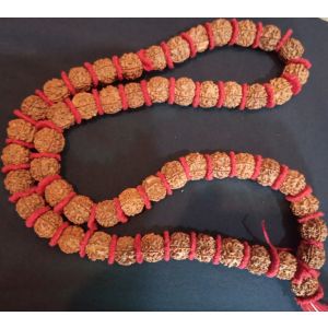 Rudrakshya Mala (54 Beads)