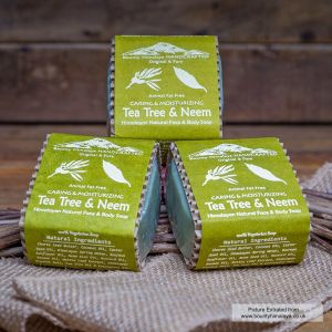  Caring and Moisturizing Tea Tree & Neem , Bounty Himalaya Handcrafted Original & Pure