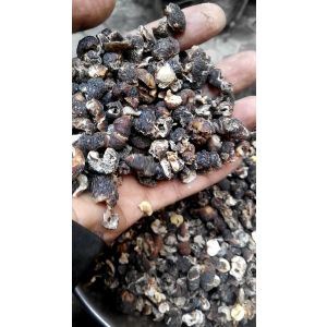 Ayurvedic Herbal Medicinal Phyllanthus Emblica Indian Gooseberry Amala