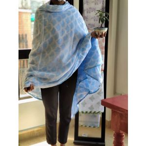 Handmade Blue Pattern Malmal Khasto (Throw)