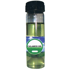 Calamus Essential Oil 'Acorus Calamus L.'