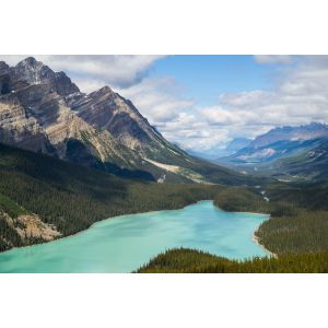 Wall Hanging Landscape