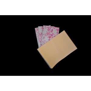 Lokta paper-Notebook- 5 sets