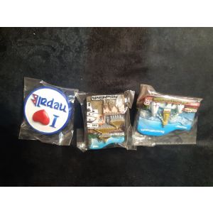 fridge magnet for sovineur