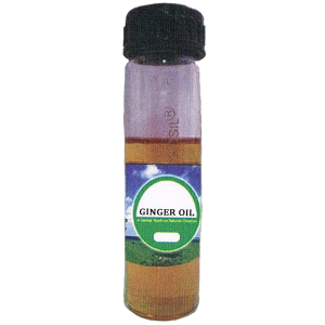 Ginger Essential Oil  'Zingiber Officinale Roscoe'