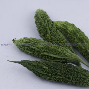 High Quality Export Level Fresh Organic Bitter Gourd