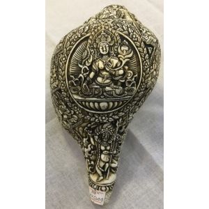 21 Tara Carved Conch shell