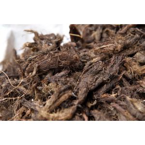 100% Pure Natural Organic Jatamansi Essential Oil