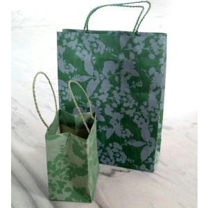 Green Printed Paper Bag