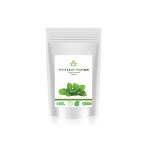Dried Mint Pudina Powder 500gm
