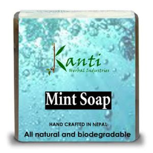 Kanti Herbal Mint Soap- 80gm