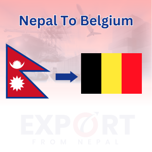 Kathmandu to Belgium 45-99 kgs