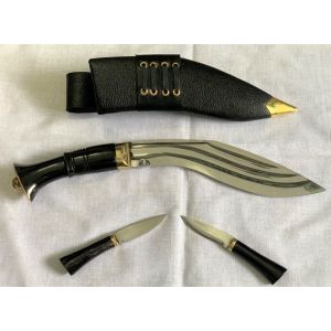 Dhankute 3 Chirra horn