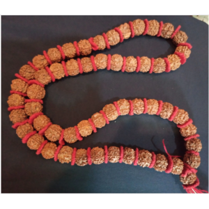 Rudrakshya Mala (54 Beads)