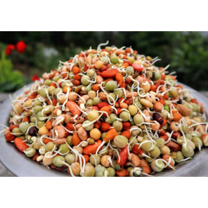 Mix Grain - Kwati (क्वाँती, क्वाँटी)