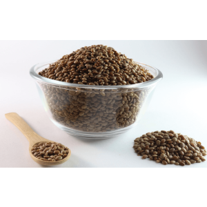 Horse Gram - Gahat Seeds