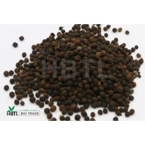 Natural Organic Herbal Medicinal Siltimur Seeds