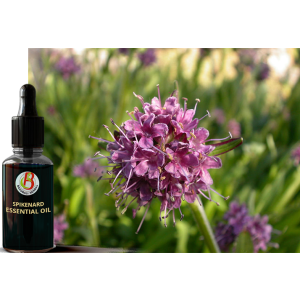 100% Natural & Pure Medicinal Spikenard Essential Oil