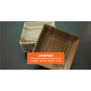 Standard Square Plate | 25 cm Length and Breadth | Areca Nut Palm Leaves | Light weighted | Durable | Bio-degradable | Disposable Plate | Fungus Proof | Portable
