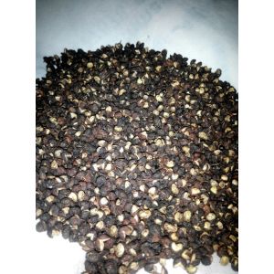 Natural Medicinal Zanthoxylum Armatum Timur Nepali Pepper Seeds